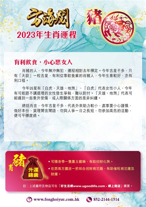 屬豬 2023|2023 肖豬流年運程 